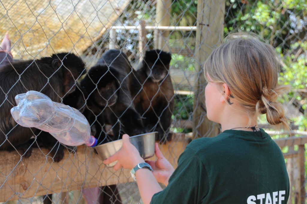 How to Get a Job in Wildlife Conservation Global Nomadic