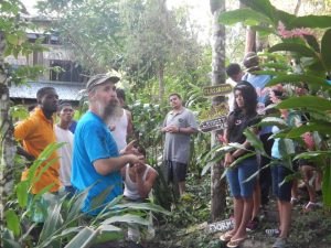 Tropical Agroforestry Internship in Belize