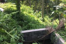 Bali-conservation-internship-hydroelectric-plant