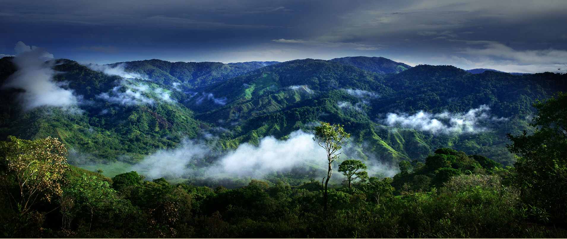 Biology Field Research Internship in Panama Global Nomadic