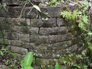 Ancient Maya wall close to the project