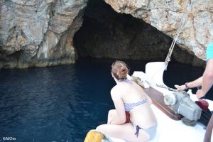 Dolphin research internship in Greece