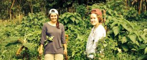 Ecuador Agroforestry Internship