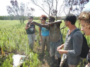 Wildlife Research Internship - Honduras