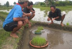 Environmental Internship in Bali