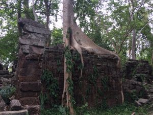 temple conservation cambodia