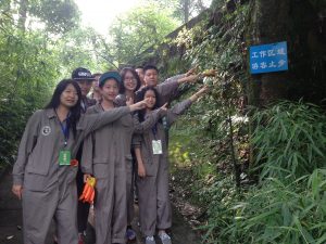 volunteer with pandas