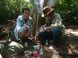Wildlife rehab in Honduras