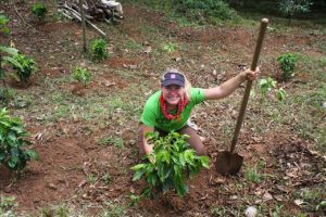 Kendal Ashworth - Sustainable Agriculture project in Costa Rica