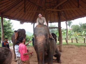 McKenna Damato - Asian Elephant Veterinary Course in Laos