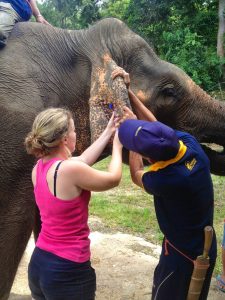 Katherine Bollag - Asian Elephant Veterinary Course in Laos