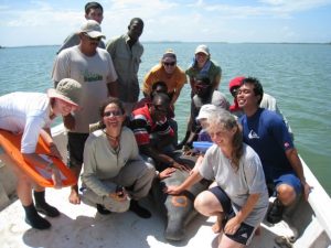 Tara Hamlin – Manatee Rehabilitation in Belize