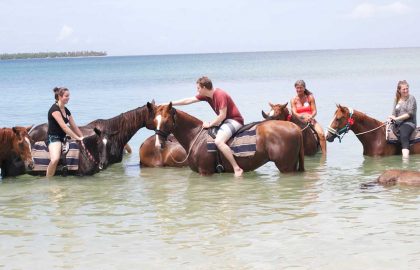 Equine Therapy Internship in Trinidad & Tobago