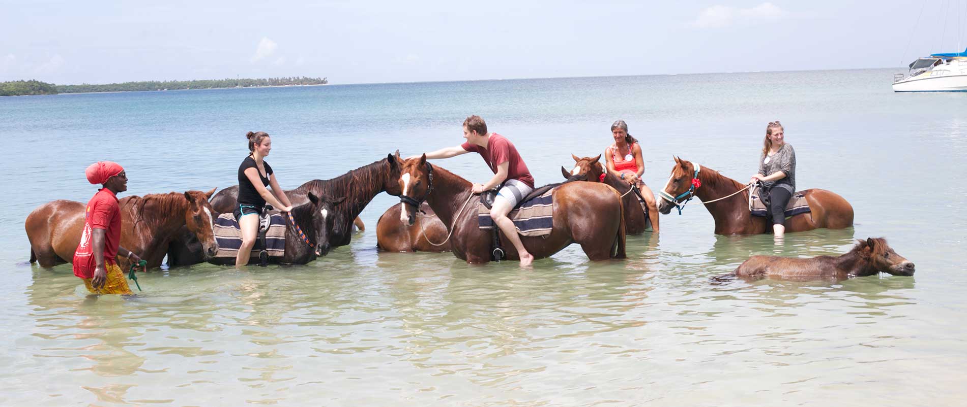 Trinidad & Tobago: Equine Therapy Placement | Global Nomadic