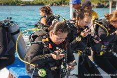 Marine researcher internship Philippines