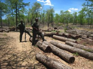 Wildlife Justice Malawi