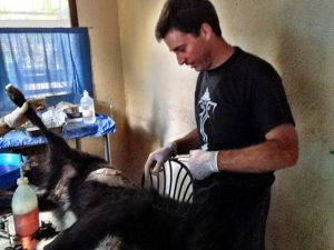 nepal canine rehab