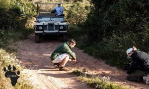 Travel Journalism in South Africa