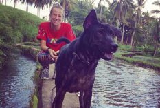 Bali: Canine Care Volunteer Project