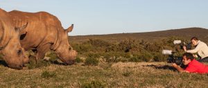 wildlife-and-travel-photography-internship-in-south-africa