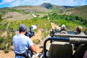 wildlife photography internship in south africa