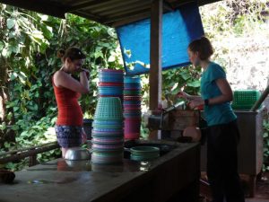 Thailand-Gibbon-Volunteer-project