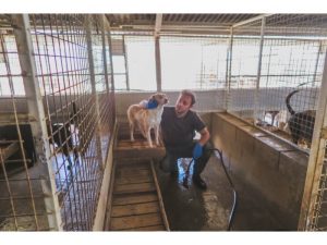 Animal-Rehabilitation-Project-in-Cypress