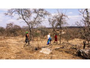 Tanzania- Wildlife Conservation Project
