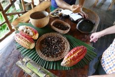 Ecuador-Amazon-food-internship