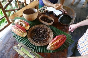 Ecuador-Amazon-food-internship