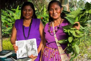 womens empowerment and domestic abuse internship in Ecuador