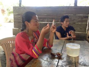 Traditional Indigenous Midwifery and Amazonian Plant Medicine
