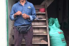 Cacao-project-in-Ecuador