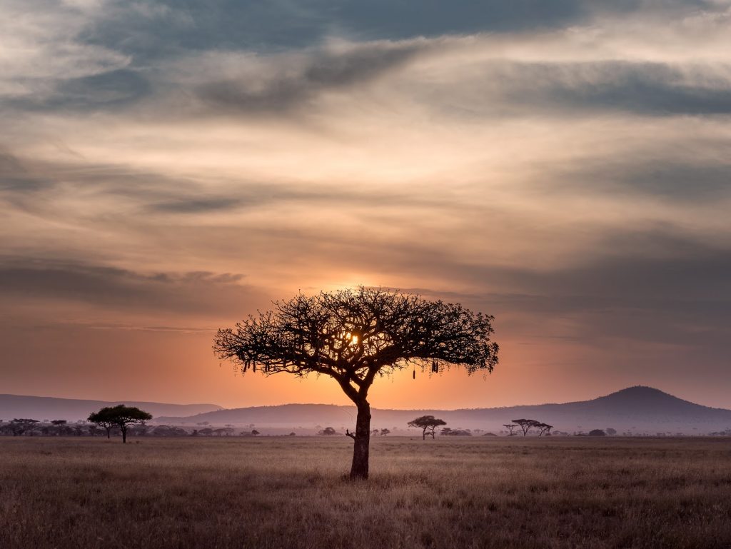 9 Affordable Countries to Visit During Your Gap Year tanzania