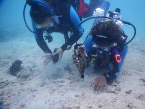 coral-bleaching-and-climate-change