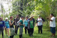 Bird-Research-in-Costa-Rica