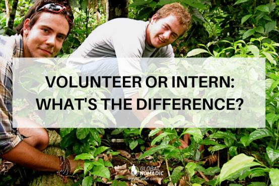 Volunteer or Intern: Whats The Difference?