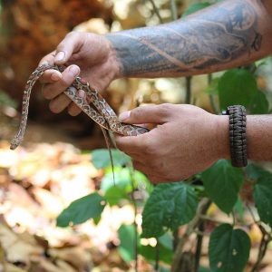 Honduras: Wildlife Research Conservation